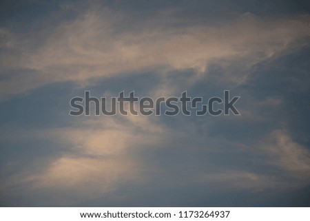 Very gentle background of fluffy clouds they are perfectly located on the beautiful sky and delight with their bright colors of the outgoing summer