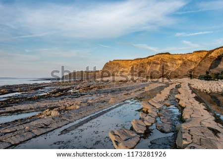 Rock Pools, Wave Cut Platforms and  cliffs of Limestone (Blue Lias) at Kilve Beach, Somerset Royalty-Free Stock Photo #1173281926