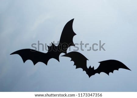 A bat on the window, an ornament for Halloween.