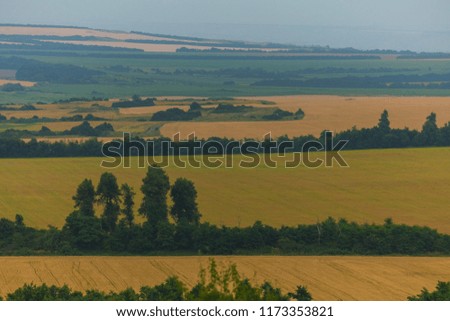 Fields. Agricultural landscape.
Harvest. Stavropol region. South of Russia.