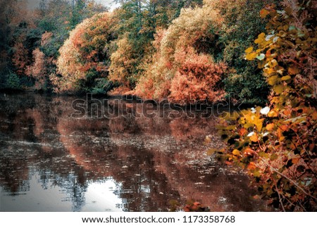 Pond in front of trees and bushes in the autumn. A lovely countryside picture, you can see reflections of the surroundings in the pond.