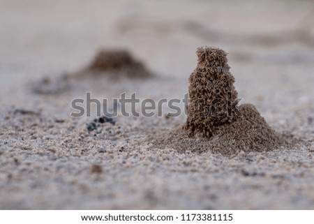 Small Anthill in
rainy season. After rain