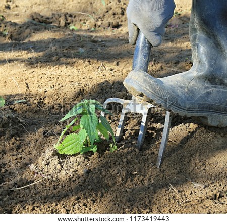 digging garden with a garden fork with people stock image and stock photo