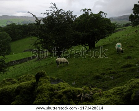 View Of Lake District