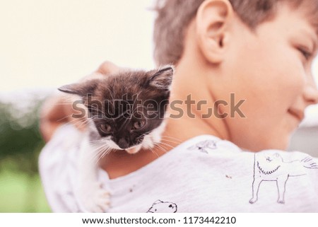 Beautiful little kitty sits on boy's shoulder
