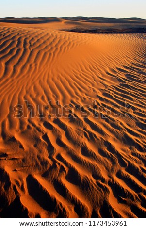Golden sand dunes of desert with sand ripples and shadows, Morocco, Africa
