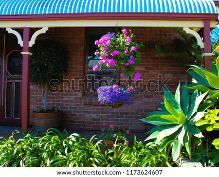 Pretty floral  hanging baskets with pink ivy geranium and blue lobelia  add color to the front garden of a suburban house in spring.