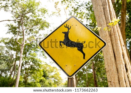 Deer Crossing warning sign in country road with tourist car on the road