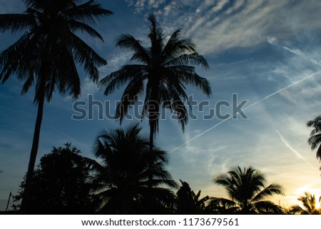 Beautiful mornings with light clouds and coconut trees.