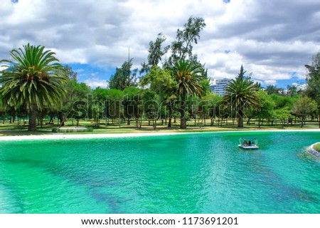View of the lagoon in the park. Beautiful landscape. Palms and nature.