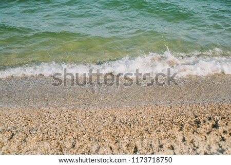 Sea waves washed clean beach made of shells
