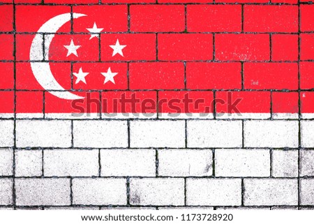 National flag of  Singapore 
against a background of a stone background covered with moss