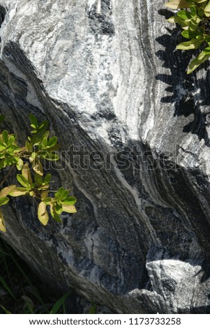 texture of stone, slanted pattern