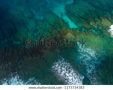 take a picture of a sea of coral by drone