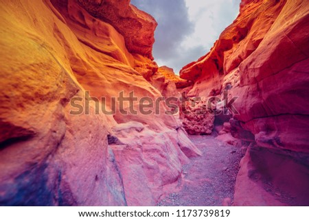 Red canyon in desert. Beautiful gradient color. Dry riverbed, wilderness
