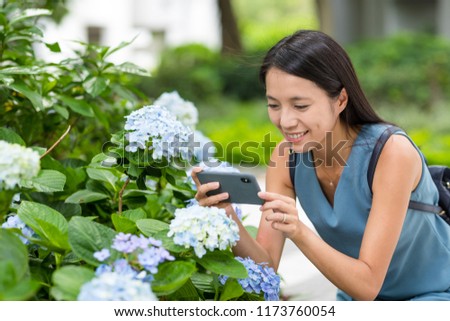 Young Woman taking photo on Hydrangea garden