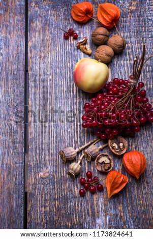 Fresh natural organic fruits and berries - autumn harvest of red ripe viburnum, aples, nuts, phisalis on a wooden background with copy space. Top iew.