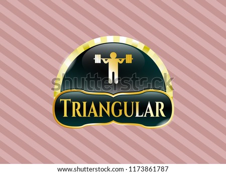  Gold badge with squat icon and Triangular text inside