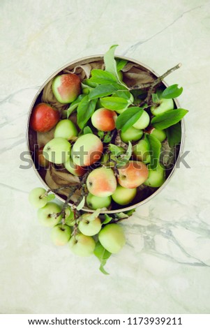 fresh green and red apples on a branch on a shabby chic plate, can be used as background
