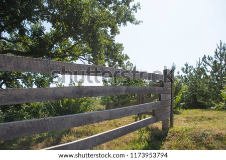 Nice background with an old wooden fence in the foreground. A beautiful summer picture in a meadow. Bright colors. 