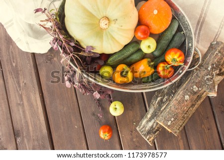 harvest of autumn vegetables  