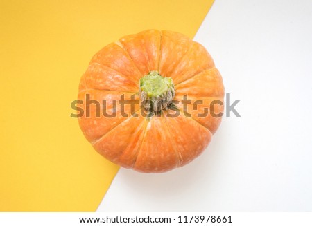 autumn harvesting. Ripe orange pumpkin on white background. Fall, Halloween and Thanksgiving concept. Styled stock flat lay photography. Top view. Empty space for your text.
