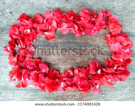 beautiful red flower background, can also be used as a flower frame, can be a symbol of heart and love