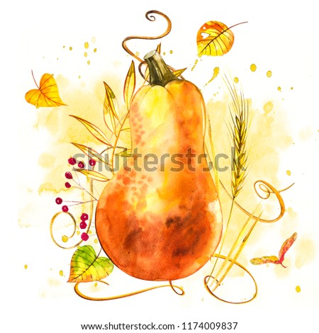 Watercolor hand drawn illustration of pumpkin with paint splashes. Orange food. Art fresh watercolor orange pumpkins isolated on the white background.