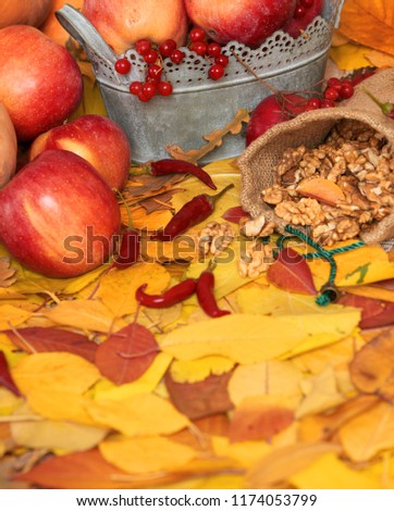 autumn harvest - fruits and vegetables are on fallen yellow leaves, nuts, apples, pumpkins, rowan and pepper. Perfect background for autumn season.