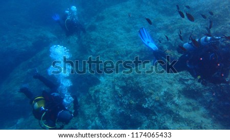 Scuba divers in the sea