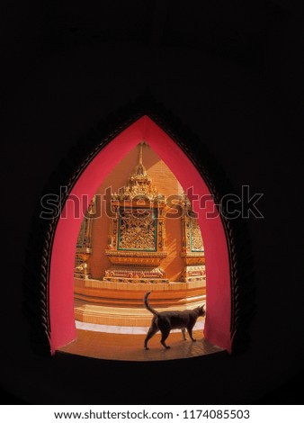 View silhouette of a cat in the arch frame with temple background, Wat Tham Sua (Wat Tham Khao Noi), kanchanaburi, Thailand