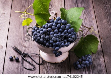 still life with black grapes in an old colander on rough wooden table