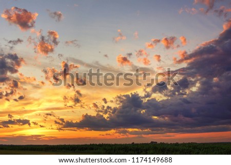 Beautiful sunset with purple clouds over corn field