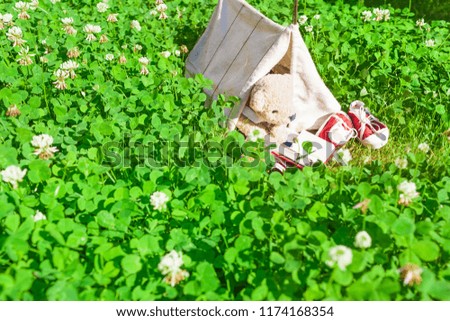 Small miniature tent at meadow of clover grass, cute little teddy bear inside, enjoy camping at summer day by reading book (copy space)