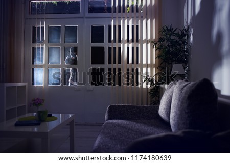
burglary breaking into a home at night through a back door Royalty-Free Stock Photo #1174180639