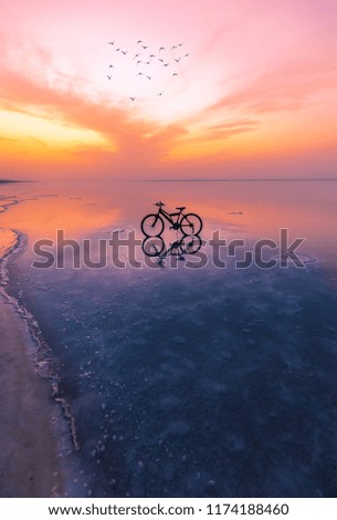 Salt Lake. The sunset and the reflection of the object in the lake. Incredible image.