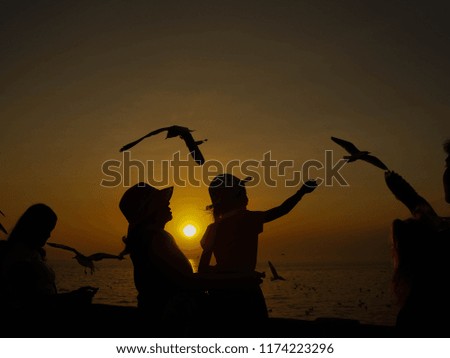Tourists are enjoying feeding the gulls during the sunset.