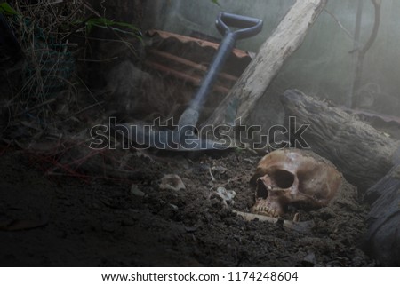 Skull and bones digged from pit in the scary graveyard ,The smoke / Still life and selective focus