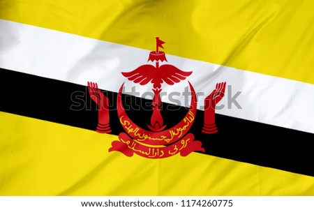 Brunei Waving Flag