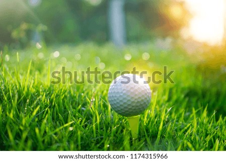 Golf ball on tee in beautiful golf course at sunset background. Golf ball on green in golf course at Thailand