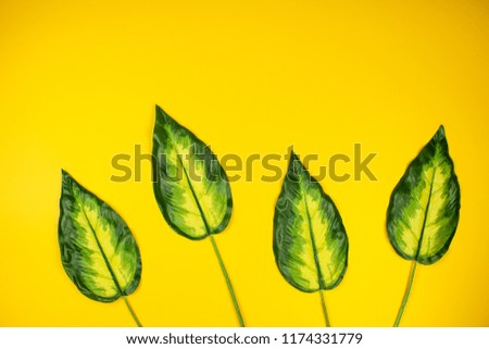 Palm leaves tropical background