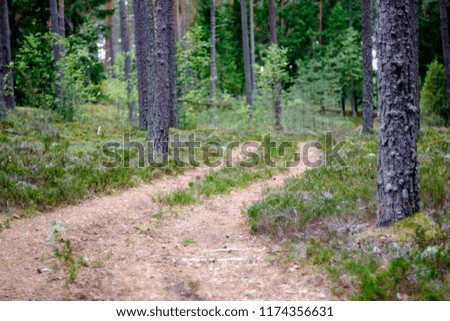simple country gravel road in summer at countryside forest with trees around and clouds in the sky