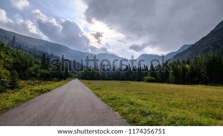 asphalted road leading up to the mountains in forest. summer time in slovakia, wavy lines and perspective