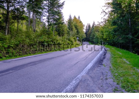 asphalted road leading up to the mountains in forest. summer time in slovakia, wavy lines and perspective