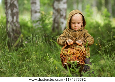 the kid collects mushrooms in the forest