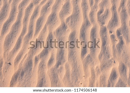 Photo Picture of the Texture Sand Dune Desert