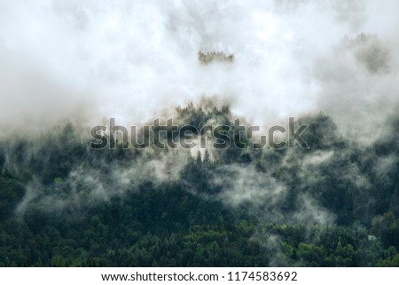 Photo of beautiful moody misty green coniferous forests in Alps 
