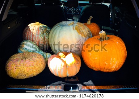 Variety of colorful pumpkins, gourds, and squash loaded in the tailgate of an SUV