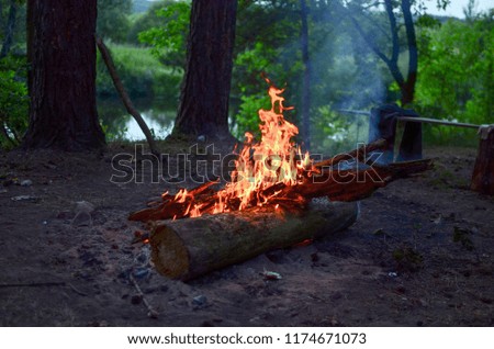 Bonfire. Camping. Forest