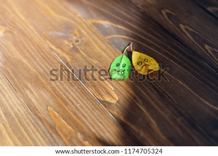 Green and yellow fallen leaves with a symbols of happy and sad faces on the wooden background.